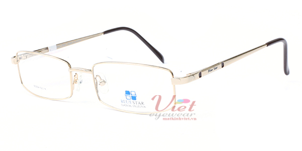 Gọng kính Blue Star BS2004 GD